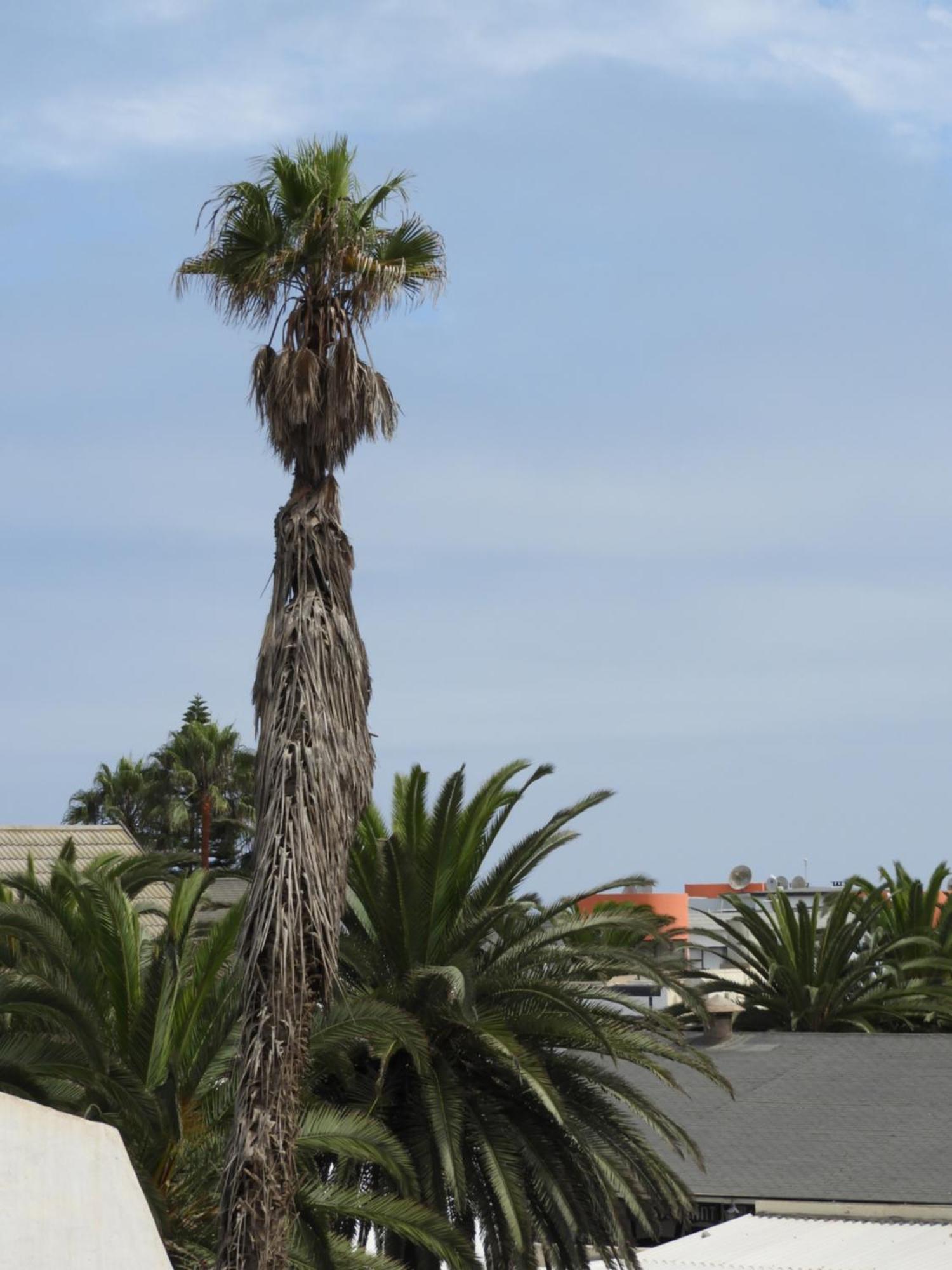Central Self Catering Swakopmund Ngoại thất bức ảnh